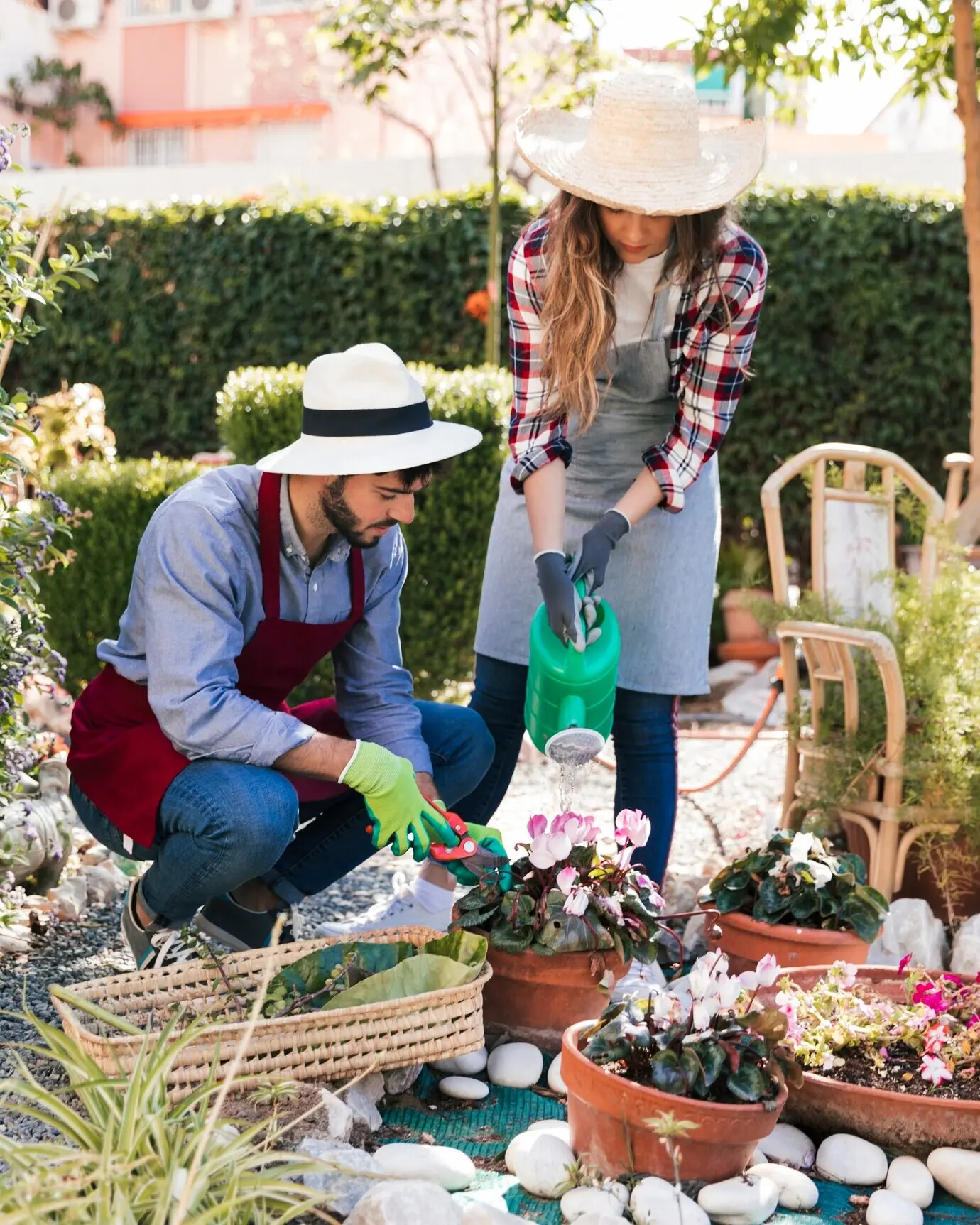 A male and a female gardener collaborating in the garden.