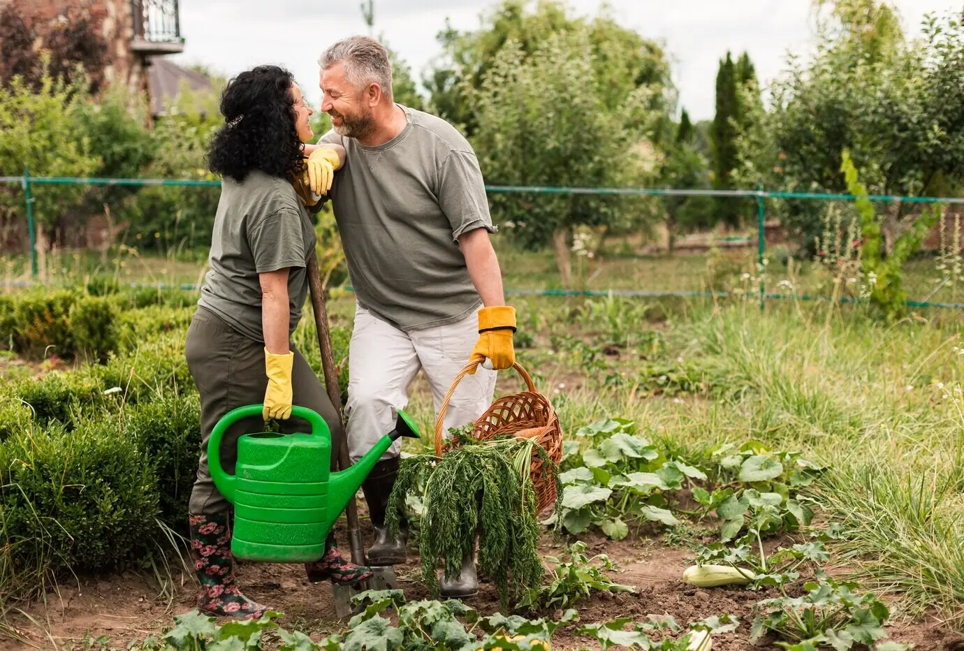 Elderly couple harvesting carrots