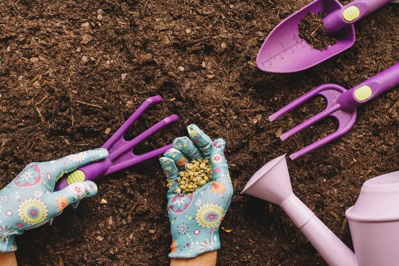 A gardening concept featuring shovels and hands holding seeds.
