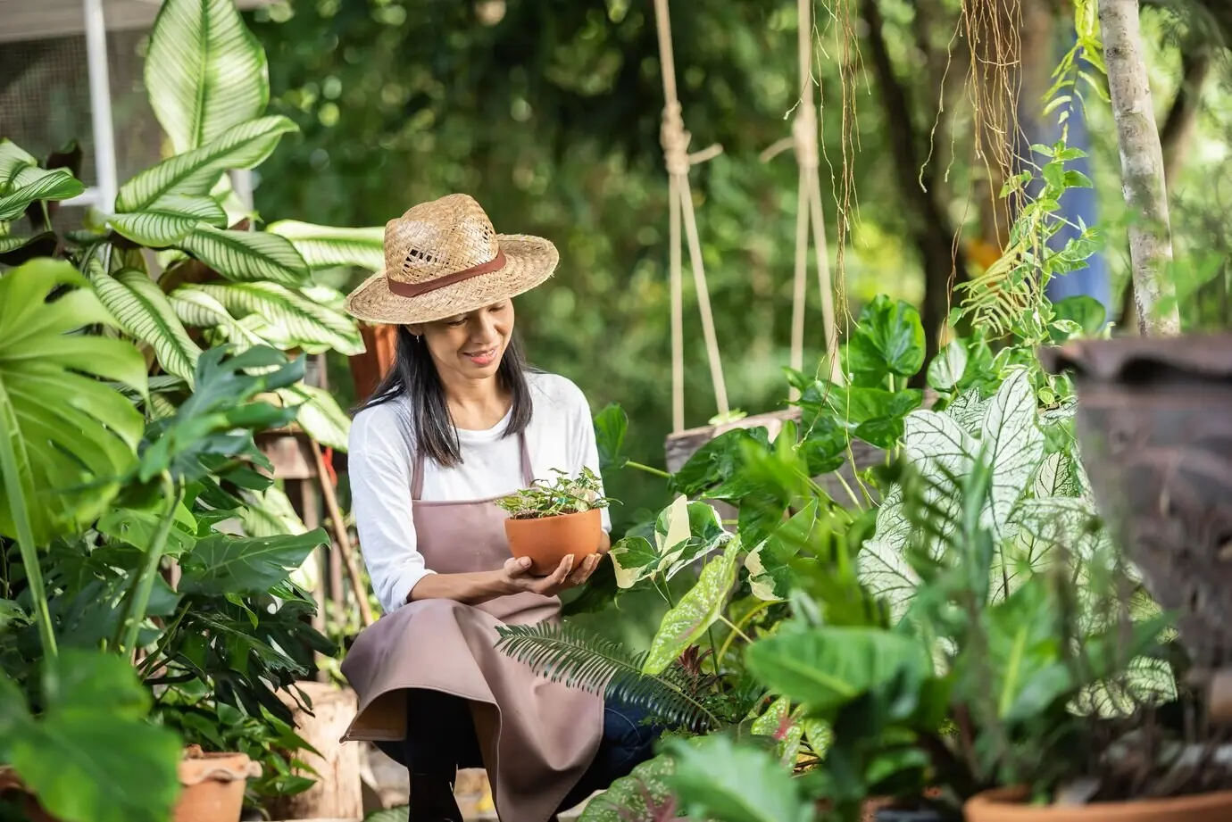 An attractive young woman, a female supervisor and gardener, works with ornamental plants at a garden center, examining them outdoors in nature during the summer and smiling as she cares for the plants.