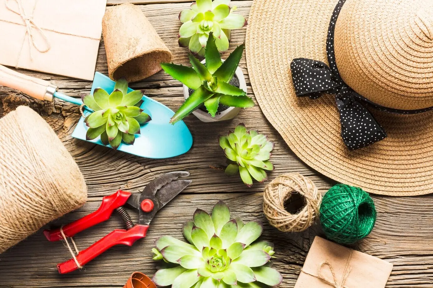 Overhead view of gardening tools on the wooden floor